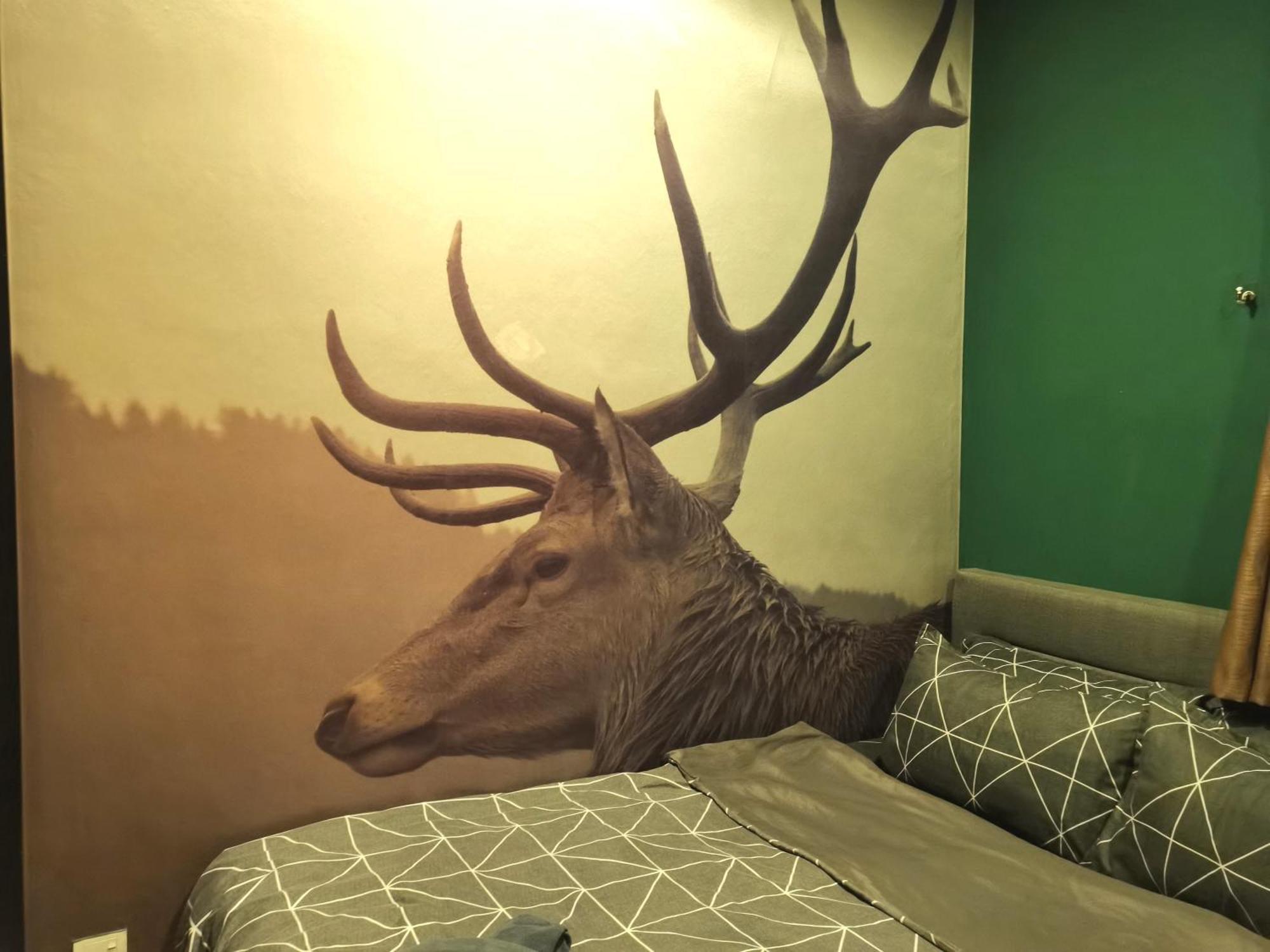 Cozy Forest Themed Homestay 4 Bedroom クアラルンプール エクステリア 写真